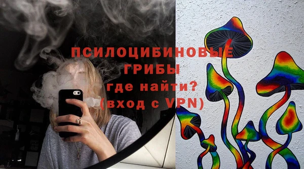 прущие грибы Алексеевка