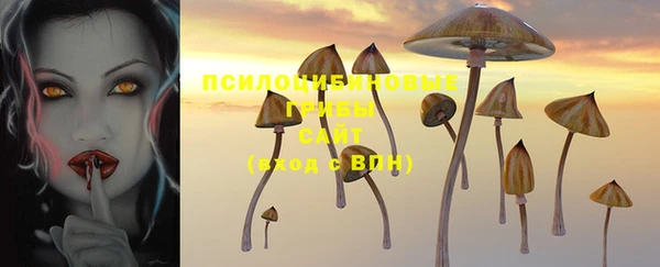 соль курить ск Алзамай
