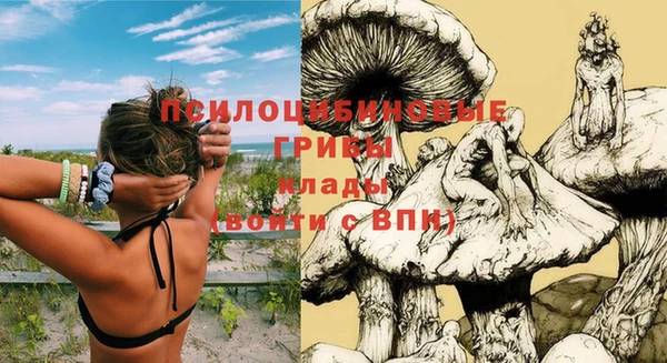 прущие грибы Алексеевка