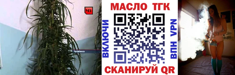 как найти закладки Сасово ТГК Wax